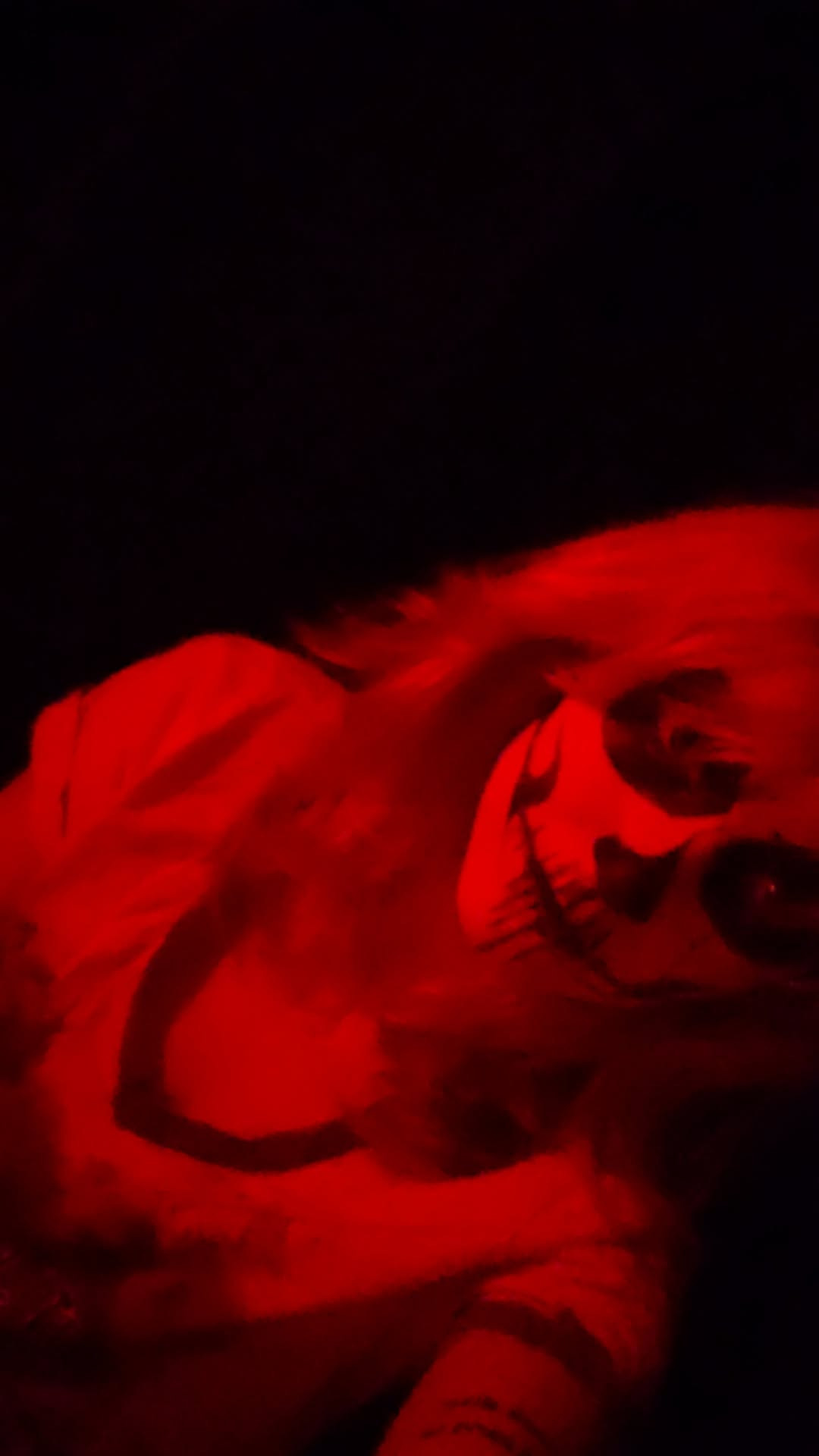 Rachel Riggs | Face of Halloween presented by Jamie Lee Curtis